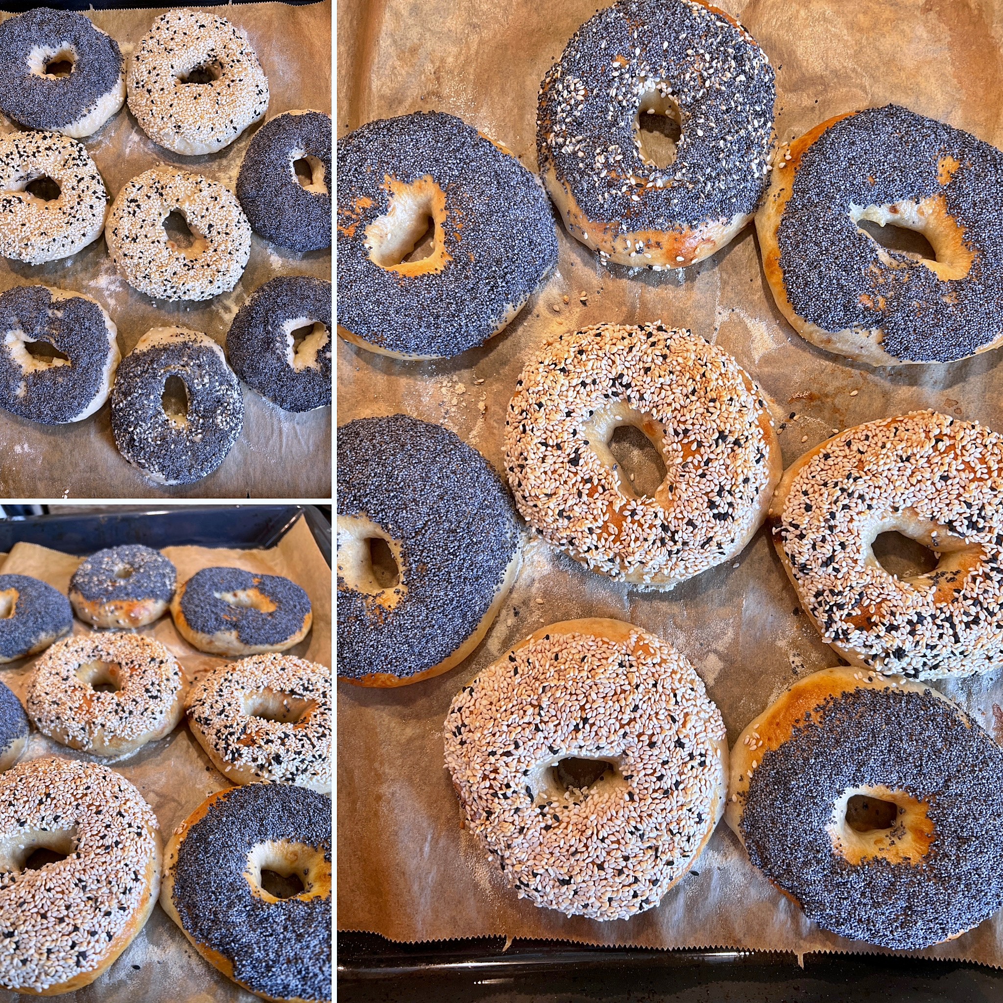 Bagels (13)