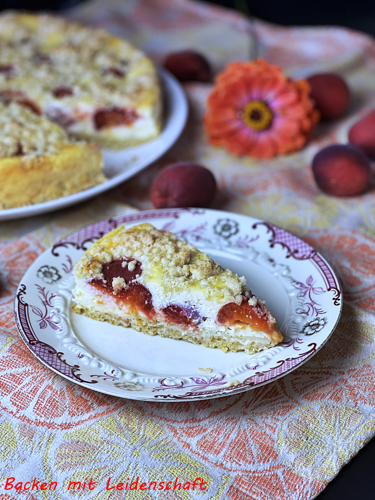 Käsekuchen Aprikose (1)