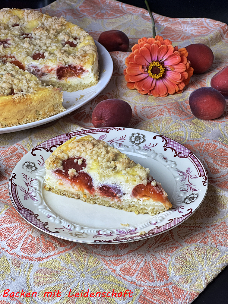 Käsekuchen Aprikose (2)