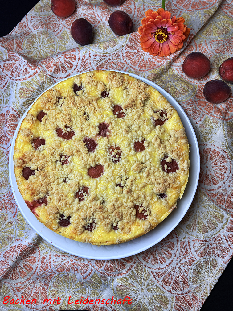 Käsekuchen Aprikose (5)