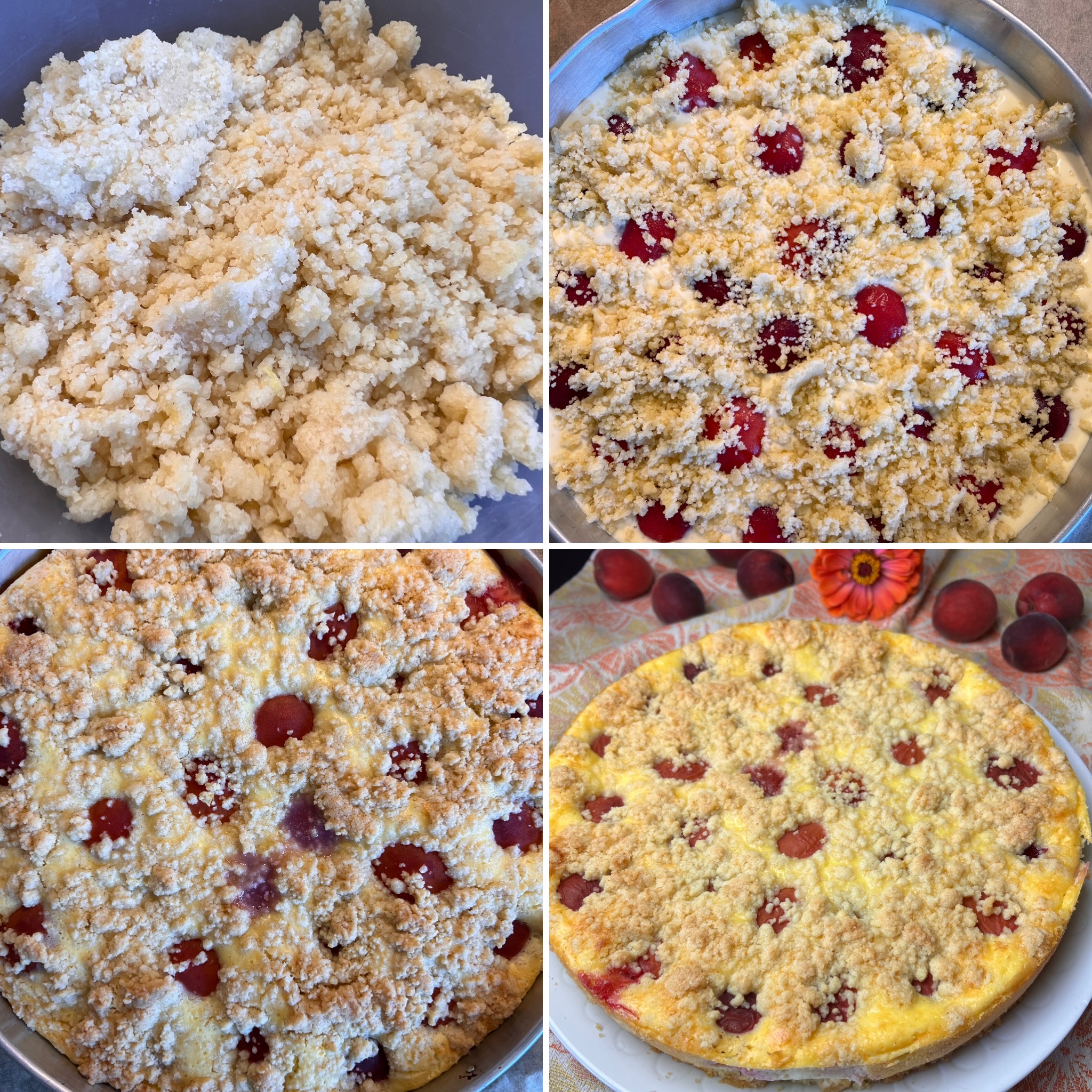 Käsekuchen Aprikose (6)