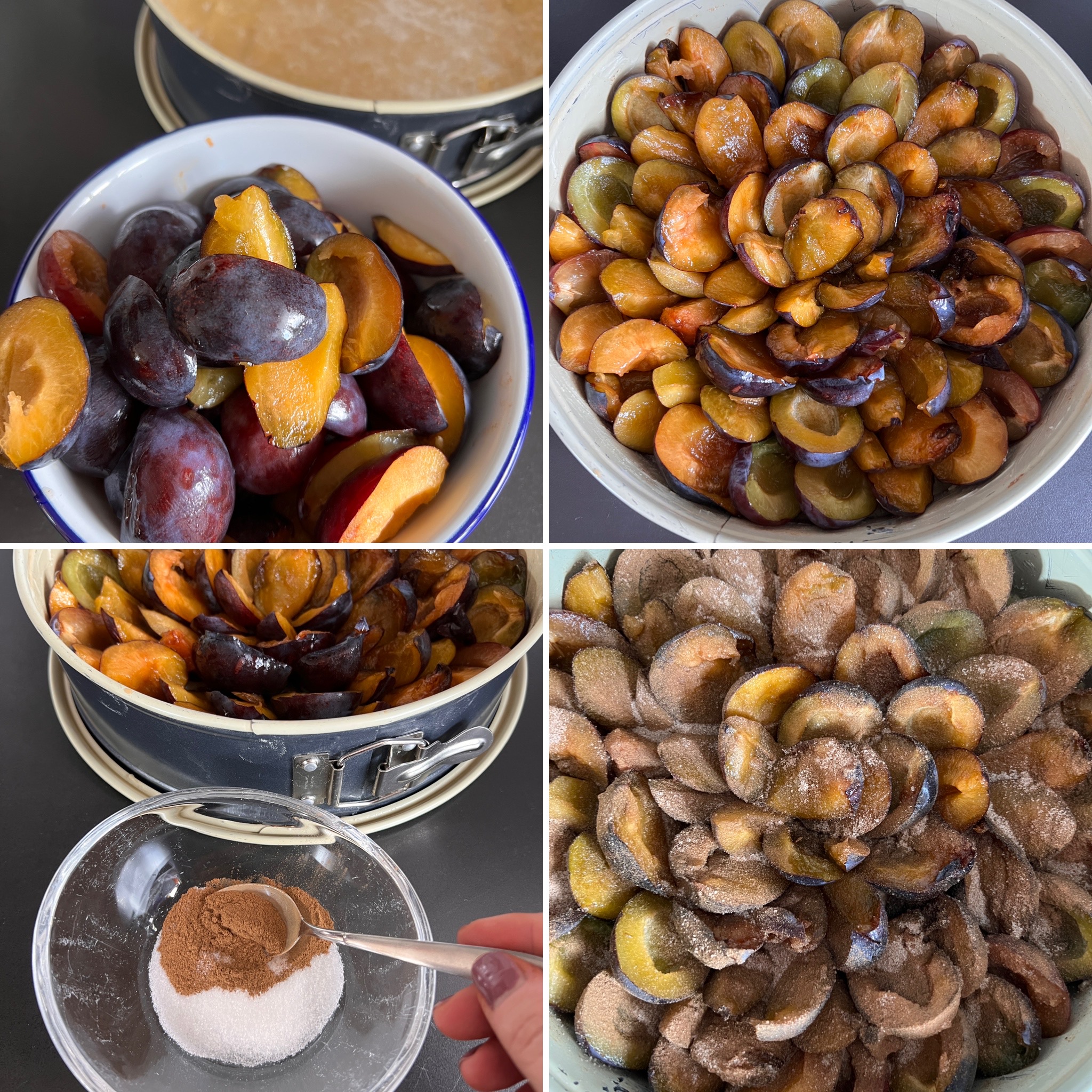 Zwetschgenkuchen (2)