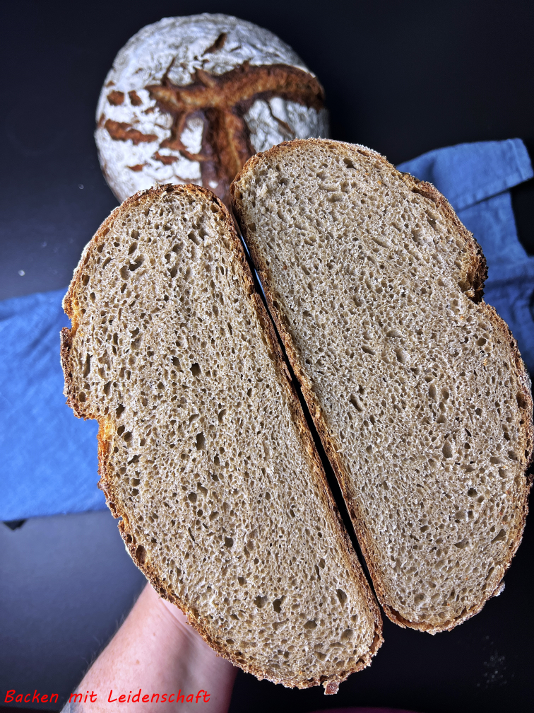 Auffrischbrot (6)