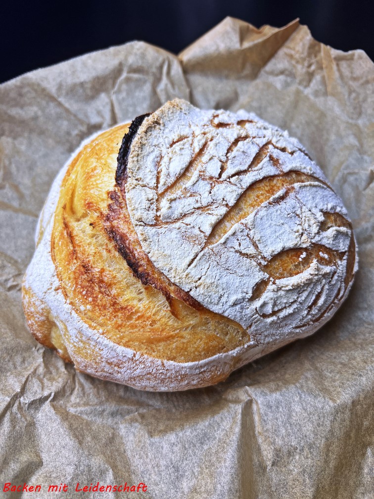 Pane di Altamura 4